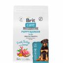 Brit Care Puppy and Junior Сухой корм для щенков крупных пород, с индейкой и ягненком, 3 кг Brit Care Puppy and Junior Сухой корм для щенков крупных пород, с индейкой и ягненком, 3 кг
