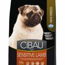 Farmina Cibau Sensitive Lamb Mini сухой корм для взрослых собак мелких пород с чувствительным пищеварением с ягненком - 800 г повседневный супер премиум для взрослых с ягненком породы мелкого размера мешок Импортный корм 1 уп. х 1 шт. х 0.8 кг Farmina Cibau Sensitive Lamb Mini сухой корм для взрослых собак мелких пород с чувствительным пищеварением с ягненком - 800 г повседневный супер премиум для взрослых с ягненком породы мелкого размера мешок Импортный корм 1 уп. х 1 шт. х 0.8 кг