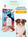 Холистики FLORIDA Холистики FLORIDA