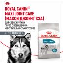 Сухой корм Royal Canin Сухой корм Royal Canin