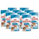 Корм для щенков Royal Canin при чувствительном пищеварении 10 шт. х 140 г Корм для щенков Royal Canin при чувствительном пищеварении 10 шт. х 140 г