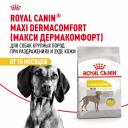 Сухой корм Royal Canin Сухой корм Royal Canin