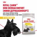 Сухой корм Royal Canin Сухой корм Royal Canin