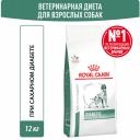 Корм для собак ROYAL CANIN Vet Diet Diabetic DS 37 при сахарном диабете сух. 12кг Корм для собак ROYAL CANIN Vet Diet Diabetic DS 37 при сахарном диабете сух. 12кг