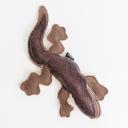 RURRI Игрушка для собак Ящерица, 33 см RURRI Игрушка для собак Ящерица, 33 см