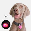Rungo Маячок-сердечко светящийся на ошейник, 3х3х0,9 см, цвет в ассортименте Rungo Маячок-сердечко светящийся на ошейник, 3х3х0,9 см, цвет в ассортименте