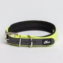 Rungo Ошейник для собак, обхват шеи 45 см, ширина 2 см, желтый Rungo Ошейник для собак, обхват шеи 45 см, ширина 2 см, желтый
