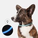 Rungo Ошейник светящийся круглый нейлоновый USB для собак, 45 см, голубой Rungo Ошейник светящийся круглый нейлоновый USB для собак, 45 см, голубой