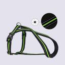 Rungo Шлейка для собак со светоотражающей полоской X-shape, S, обхват груди 35-50 см, ширина ремешка 2,3 см, черно-зеленый Rungo Шлейка для собак со светоотражающей полоской X-shape, S, обхват груди 35-50 см, ширина ремешка 2,3 см, черно-зеленый