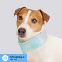 RURRI Ошейник охлаждающий для кошек и собак, 61x6,5 см, зеленый RURRI Ошейник охлаждающий для кошек и собак, 61x6,5 см, зеленый