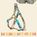 RURRI Шлейка для собак Step-in Саванна, обхват груди 45-63 см, ширина ремешка 1,5 см, оранжевый RURRI Шлейка для собак Step-in Саванна, обхват груди 45-63 см, ширина ремешка 1,5 см, оранжевый