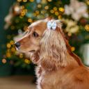 Petmax Бантики-заколки для собак, 4х3 см, голубой, 2 шт. Petmax Бантики-заколки для собак, 4х3 см, голубой, 2 шт.