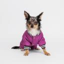 Petmax Комбинезон для собак Комикс, S, фиолетовый (девочка) Petmax Комбинезон для собак Комикс, S, фиолетовый (девочка)
