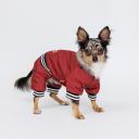 Petmax Комбинезон для собак Комикс, S, кофейный Petmax Комбинезон для собак Комикс, S, кофейный