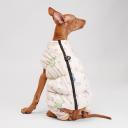 Petmax Комбинезон на замке для собак, 2XL, светлый (девочка) Petmax Комбинезон на замке для собак, 2XL, светлый (девочка)