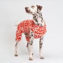 Petmax Комбинезон на замке для собак, 4XL, оранжево-белый (унисекс) Petmax Комбинезон на замке для собак, 4XL, оранжево-белый (унисекс)