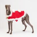 Petmax Накидка новогодняя с колокольчиком для собак, длина спины 32 см, обхват груди 44 см, обхват шеи 36 см, L, красный Petmax Накидка новогодняя с колокольчиком для собак, длина спины 32 см, обхват груди 44 см, обхват шеи 36 см, L, красный