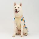 Petmax Свитер с ромбами для собак, 4XL, бело-синий Petmax Свитер с ромбами для собак, 4XL, бело-синий