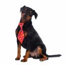 RURRI Галстук для собак красный светящийся Led RURRI Галстук для собак красный светящийся Led