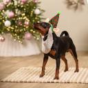 RURRI Колпак новогодний для собак Эльф, 26 см RURRI Колпак новогодний для собак Эльф, 26 см