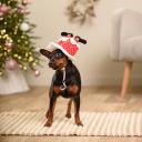 RURRI Колпак новогодний с ногами для собак, 22 см RURRI Колпак новогодний с ногами для собак, 22 см