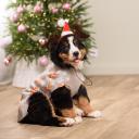 RURRI Колпак с оленьими рогами для собак и кошек, 14х10 см RURRI Колпак с оленьими рогами для собак и кошек, 14х10 см