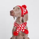 RURRI Комплект (шапка и шарф) для собак, шапка 39х16,5 см, шарф 70х7 см, красный RURRI Комплект (шапка и шарф) для собак, шапка 39х16,5 см, шарф 70х7 см, красный