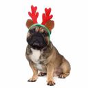 RURRI Ободок безразмерный для собак и кошек Рога оленьи малые красный (унисекс) RURRI Ободок безразмерный для собак и кошек Рога оленьи малые красный (унисекс)