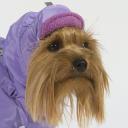 Тузик Шапка теплая для собак, M (унисекс) Тузик Шапка теплая для собак, M (унисекс)