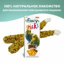 Лакомство для птиц Fiory Палочки для попугаев с медом 60г Лакомство для птиц Fiory Палочки для попугаев с медом 60г