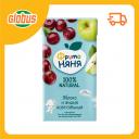 Нектар детский ФрутоНяня Яблоко и вишня, с 3 лет Нектар детский ФрутоНяня Яблоко и вишня, с 3 лет