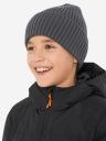 Шапка для мальчиков Demix, Серый Шапка для мальчиков Demix, Серый