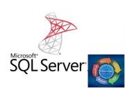 Право на использование (электронно) Microsoft SQL Server Standard Core Sngl LicSAPk OLP 2Lic NL CoreLic Qlfd Право на использование (электронно) Microsoft SQL Server Standard Core Sngl LicSAPk OLP 2Lic NL CoreLic Qlfd