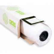 Cactus CS-WP2500-1X30 Фотообои Cactus 1000mm-30.5m/150г/m2 матовое шероховатая УФ печати Cactus CS-WP2500-1X30 Фотообои Cactus 1000mm-30.5m/150г/m2 матовое шероховатая УФ печати