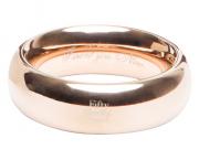 Золотистое стальное кольцо I Want You. Now. Steel Love Ring Fifty Shades of Grey FS-69151 Золотистое стальное кольцо I Want You. Now. Steel Love Ring Fifty Shades of Grey FS-69151
