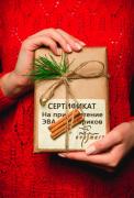 Подарочный сертификат EVA Smart На 3900 рублей (достаточно на салон и багажник) Подарочный сертификат EVA Smart На 3900 рублей (достаточно на салон и багажник)