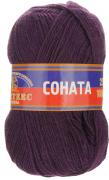 Пряжа для вязания Камтекс "Соната", цвет: слива (182), 250 м, 100 г, 10 шт Пряжа для вязания Камтекс "Соната", цвет: слива (182), 250 м, 100 г, 10 шт