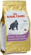 Корм сухой Royal Canin "British Shorthair Adult", для британских короткошерстных кошек старше 12 месяцев, 4 кг Корм сухой Royal Canin "British Shorthair Adult", для британских короткошерстных кошек старше 12 месяцев, 4 кг