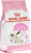 Корм сухой Royal Canin "Mother & Babycat", для котят в возрасте от 1 до 4 месяцев, беременных и лактирующих кошек, 4 кг Корм сухой Royal Canin "Mother & Babycat", для котят в возрасте от 1 до 4 месяцев, беременных и лактирующих кошек, 4 кг