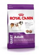 Корм сухой Royal Canin "Giant Adult", для взрослых собак очень крупных размеров, 15 кг Корм сухой Royal Canin "Giant Adult", для взрослых собак очень крупных размеров, 15 кг