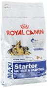 Корм сухой Royal Canin "Maxi Starter. Mother & Babydog", для беременных собак весом от 26 кг до 44 кг и щенков, 4 кг Корм сухой Royal Canin "Maxi Starter. Mother & Babydog", для беременных собак весом от 26 кг до 44 кг и щенков, 4 кг