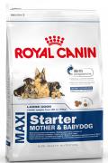 Корм сухой Royal Canin "Maxi Starter", для щенков крупных размеров в период отъема до 2-месячного возраста, для собак в последней трети беременности и во время лактации, 15 кг Корм сухой Royal Canin "Maxi Starter", для щенков крупных размеров в период отъема до 2-месячного возраста, для собак в последней трети беременности и во время лактации, 15 кг