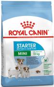 Royal Canin Mini Starter Диета для щенков в период отъема до 2 месяцев, беременных и кормящих сук 8,5 кг Royal Canin Mini Starter Диета для щенков в период отъема до 2 месяцев, беременных и кормящих сук 8,5 кг
