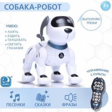 IQ BOT Робот-собака «Дружок-трюкач», звуковые эффекты, управление с пульта IQ BOT Робот-собака «Дружок-трюкач», звуковые эффекты, управление с пульта