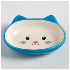 Миска Пижон Кошачья мордочка, для кошек 200 мл 0.2 л 1 0.2 л 1 шт. синий 14 см 3.5 см 12 см Миска Пижон Кошачья мордочка, для кошек 200 мл 0.2 л 1 0.2 л 1 шт. синий 14 см 3.5 см 12 см