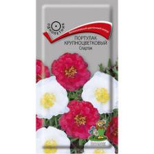 Портулак крупноцветковый Спартак Портулак крупноцветковый Спартак