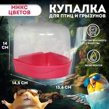 Купалка для птиц, 145x136x140, пластик, цвет МИКС Купалка для птиц, 145x136x140, пластик, цвет МИКС