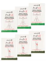 Набор магнитных биостикеров Dr. Redox Набор магнитных биостикеров Dr. Redox