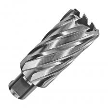 Корончатое сверло по металлу Сверло корончатое HSS по металлу (42х55/88 мм; Weldon 19) D.BOR CD-HSS-055-042-W Корончатое сверло по металлу Сверло корончатое HSS по металлу (42х55/88 мм; Weldon 19) D.BOR CD-HSS-055-042-W