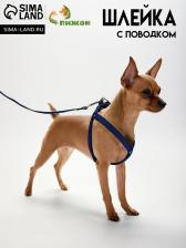 Шлейка с поводком, ОГ 36-49 см, ширина 1.5 см, поводок 120 см, рельефная, сине-чёрная Шлейка с поводком, ОГ 36-49 см, ширина 1.5 см, поводок 120 см, рельефная, сине-чёрная